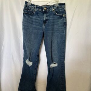 Express Blue Flare Wide Leg Jeans